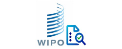 WIPO知识产权诊断